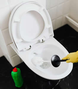 Vaso Sanitario